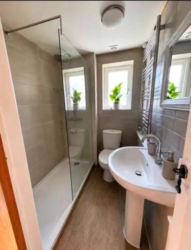 a bathroom with a shower and a toilet and a sink at Lotte’s Cottage in Bideford