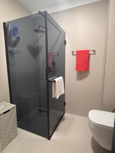 a bathroom with a glass shower with a toilet at Apartment 22 - calm location in Bar
