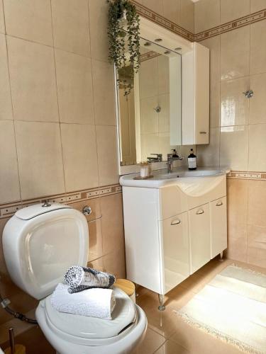 a bathroom with a toilet and a sink at Apollonian House in Korinthos