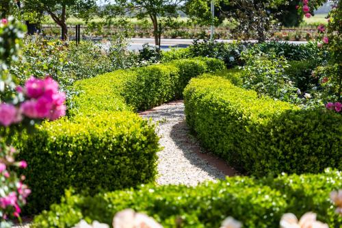 a garden with green bushes and pink flowers at Barossa House in Tanunda