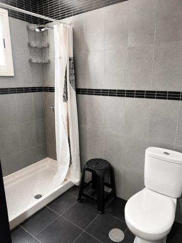 a bathroom with a toilet and a shower and a stool at Apartamento EL LUCENTINO in Lucena