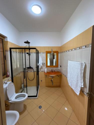 a bathroom with a toilet and a shower and a sink at VillaSolmare Velipoje in Velipojë