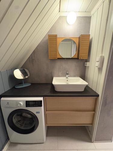a bathroom with a sink and a washing machine at Dalhus Valley Apartment in Norddal