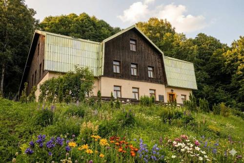 an old barn in a field of flowers at Chalupa Šťastný kopec in Deštné v Orlických horách