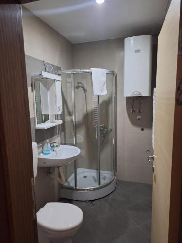 a bathroom with a shower and a toilet and a sink at Apartman Glorija in Brzeće