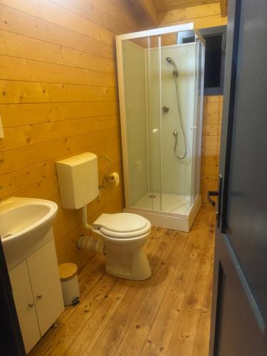 a bathroom with a shower and a toilet and a sink at Vatra Bunătăților- By The Lake in Proeni