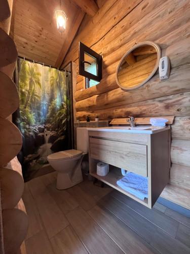 a bathroom with a sink and a toilet in a cabin at Cabanutele M&V INFINIT in Sălătrucel