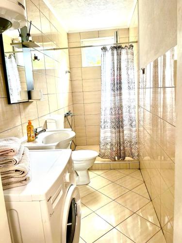 a bathroom with a sink and a toilet and a shower at Tinela in Mostar