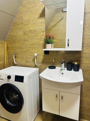 a bathroom with a washing machine and a sink at River Sound Chalet in Tba