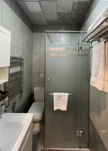 ein Badezimmer mit Dusche, Toilette und Waschbecken in der Unterkunft ZM hotel in Baku