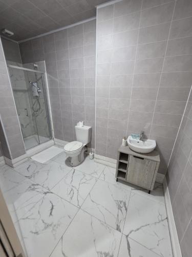 a bathroom with a toilet and a shower and a sink at Shamrock Premium Apartment in Cork