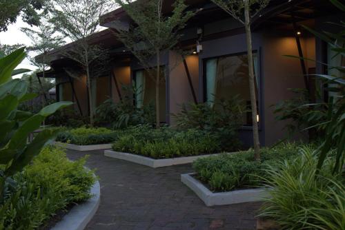 Kebun di luar Paklop Resort