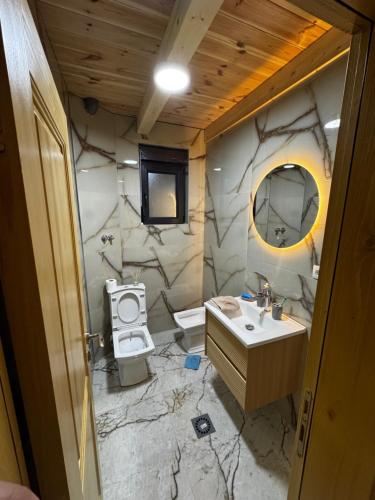 a bathroom with a sink and a toilet at Agro Arge in Rožaje