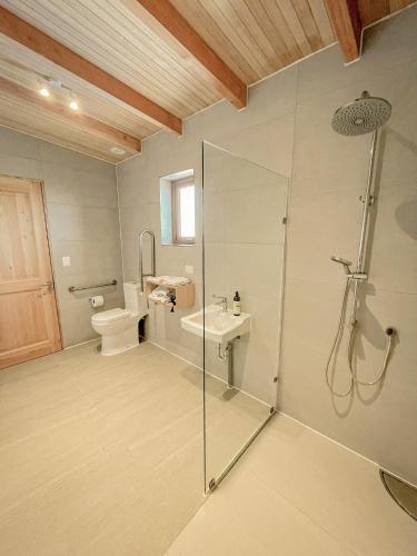 a bathroom with a shower and a toilet and a sink at Ave Lodge Frutillar in Frutillar