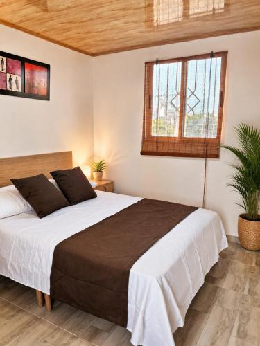 a bedroom with a large bed and a window at Brisa y Lienzo - Hostal Boutique in Puerto Colombia