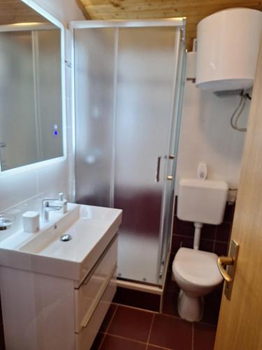 a bathroom with a shower and a toilet and a sink at Apartments by the sea Stara Novalja, Pag - 6375 in Novalja