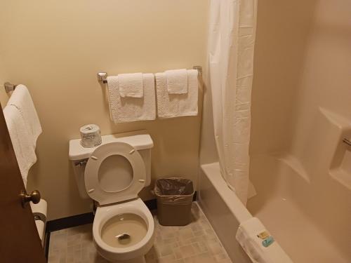 a small bathroom with a toilet and a bath tub at Chapel Hill Motel in Moran