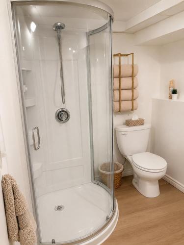 a bathroom with a shower and a toilet at The Bunny Street Getaway! in Kenora