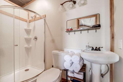 a bathroom with a toilet and a sink and a shower at Hill Country Cabin 4 in Canyon Lake