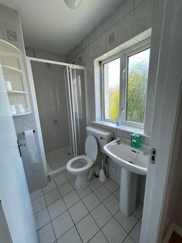 a bathroom with a toilet and a sink and a shower at Teach Fáilte in Sligo