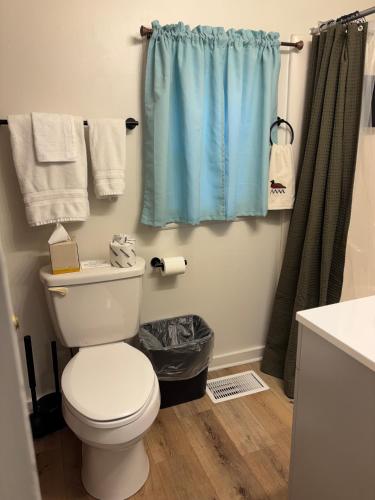 a bathroom with a toilet and a blue shower curtain at Hillside Hotel in Luray