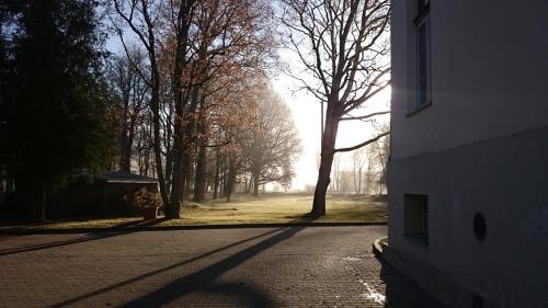 an empty road with a tree on the side of a building at Saku Manor & Beerspa in Saku