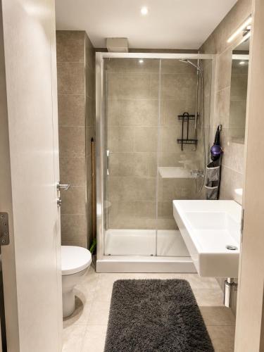 a bathroom with a shower and a toilet and a sink at FONTANA DELUXE Apartment in Budva