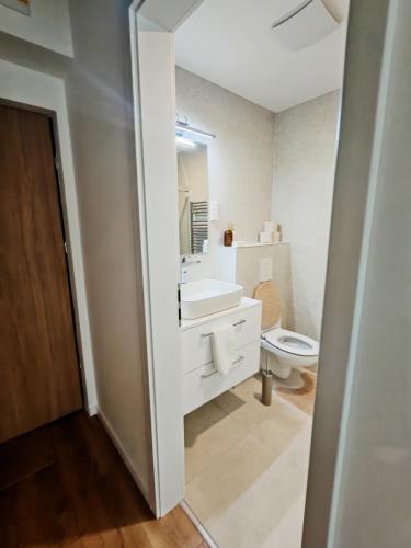 a bathroom with a white sink and a toilet at Luxus Lakópark in Gárdony