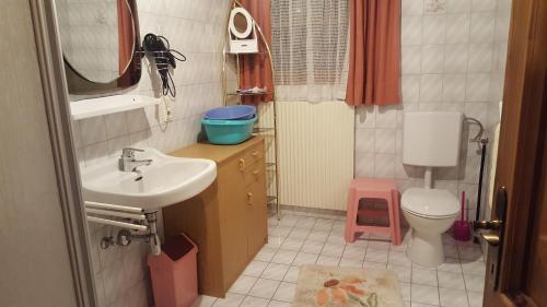 a small bathroom with a sink and a toilet at Rieplerhof in Matrei in Osttirol
