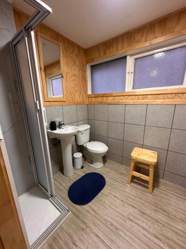 a small bathroom with a toilet and a sink at Refugio Ballena Hostel in Castro