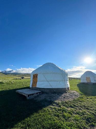 a couple of yaks sitting in a field at Sky yurt camp in Këk-Say