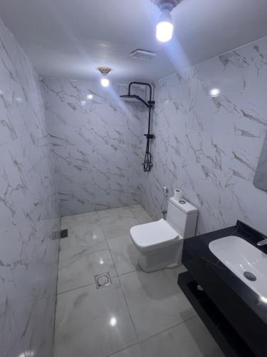 a white bathroom with a toilet and a sink at Moonlight Luxury Bubble Camp & Jeep Tours in Wadi Rum