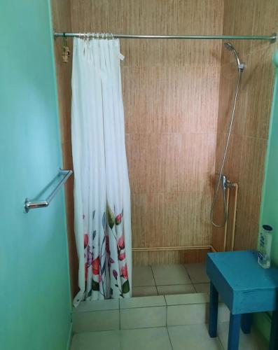 a shower with a shower curtain in a bathroom at Loft vista a la bahía in Valparaíso