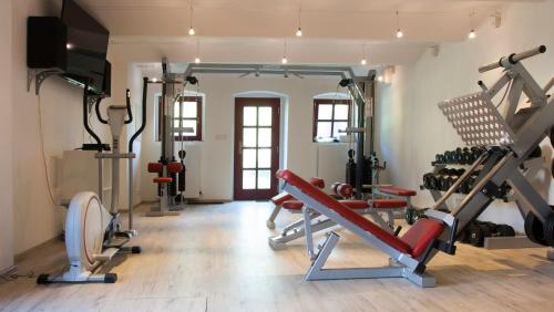 a gym with cardio equipment in a room at Dvur Hoffmeister Hotel in Velké Číčovice