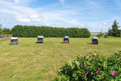three chairs sitting in the grass in a field at Seehaus in Bojendorf