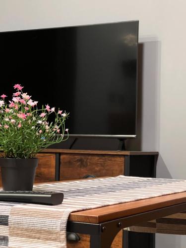 a flat screen tv sitting on a table with a potted plant at Stacja Nałęczów 2 in Nałęczów