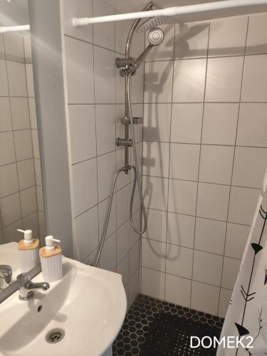 a bathroom with a shower with a sink at Gospodarstwo Agroturystyczne RYBAKÓWKA in Warlubie