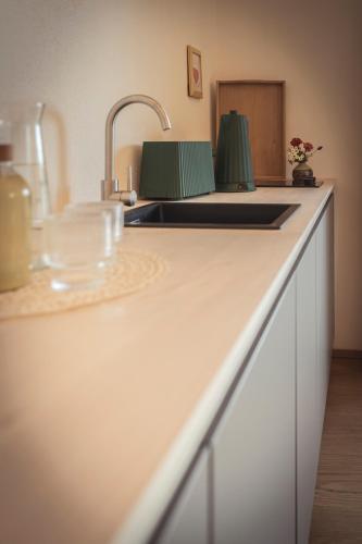 a kitchen with a sink and a counter top at das Ebner in Stubenberg