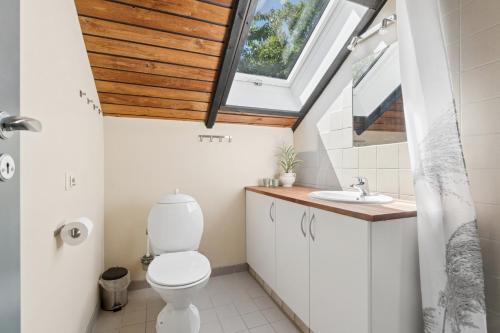 a bathroom with a toilet and a skylight at Mtb Beach Peace Holiday By The Dunes in Fjerritslev