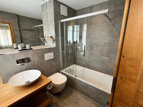 a bathroom with a shower and a toilet and a sink at Alpine Apartment Andermatt in Andermatt