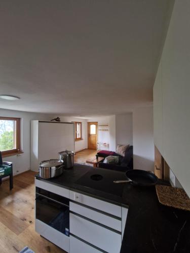 a kitchen with a stove top oven in a living room at Waldnest in Grächen