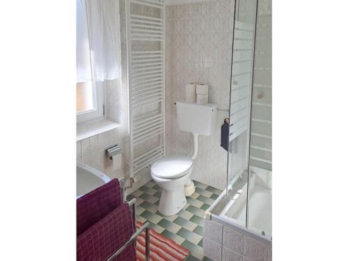 a bathroom with a toilet and a bath tub at Dürnberger in St Martin in Scheffsnoth
