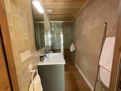 a bathroom with a sink and a mirror at Can Padrosa Mini loft 3 in Riumors