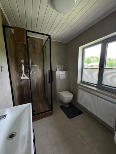 a bathroom with a shower and a toilet and a window at Pakrasti in Svente