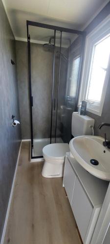 a bathroom with a toilet and a sink and a shower at Veluwemeer Lodge in Elburg