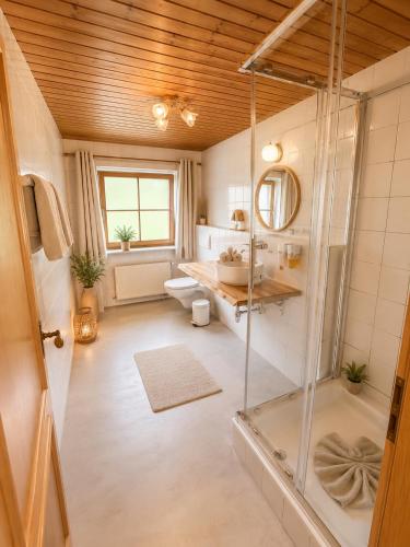 a bathroom with a shower and a toilet and a sink at Haus Alpenecho in Mittelberg