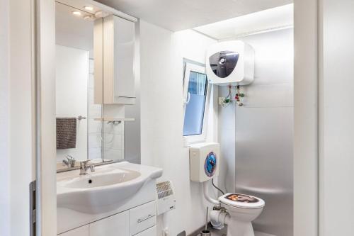 a white bathroom with a sink and a toilet at Ferienhaus 36 in Zadelsdorf