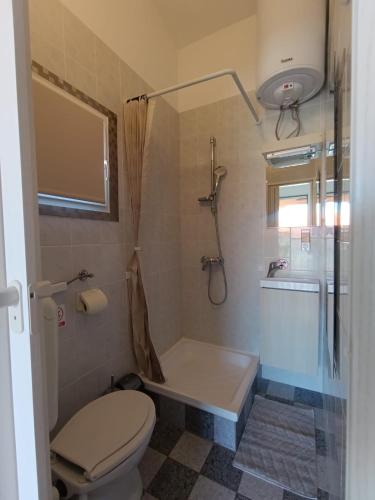 a bathroom with a toilet and a shower at Apartman Mivela in Vir