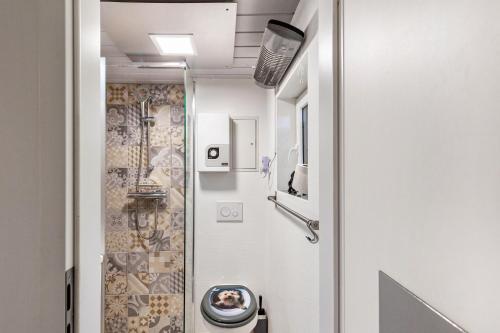 a small bathroom with a shower and a toilet at Ferienhaus 35 in Zadelsdorf
