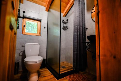 a bathroom with a toilet and a glass shower at Cottages Serdar in Mojkovac